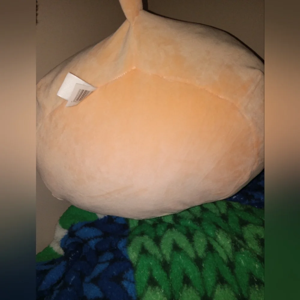 Abdul the Griffon - Picture 5 of 5